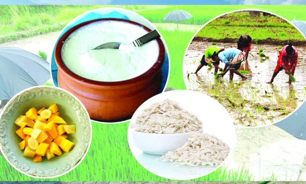 १५ असार : राष्ट्रिय धान दिवस, खेतको उत्सव र दही चिउरा खाने दिन,