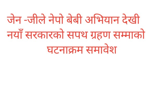 ‘नेपो बेबी’ अभियानदेखि अन्तरिम सरकारसम्म : जेन–जीको ऐतिहासिक आन्दोलन एक एक घटना को विवरण सहित