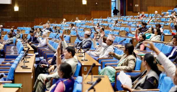 ‘कुलिङ अफ पिरियड’ सहितको संघीय निजामती सेवा विधेयक प्रतिनिधिसभाबाट पारित